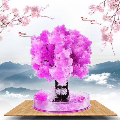 🎄Christmas Sale 49% OFF✨Magic Growing Christmas Tree